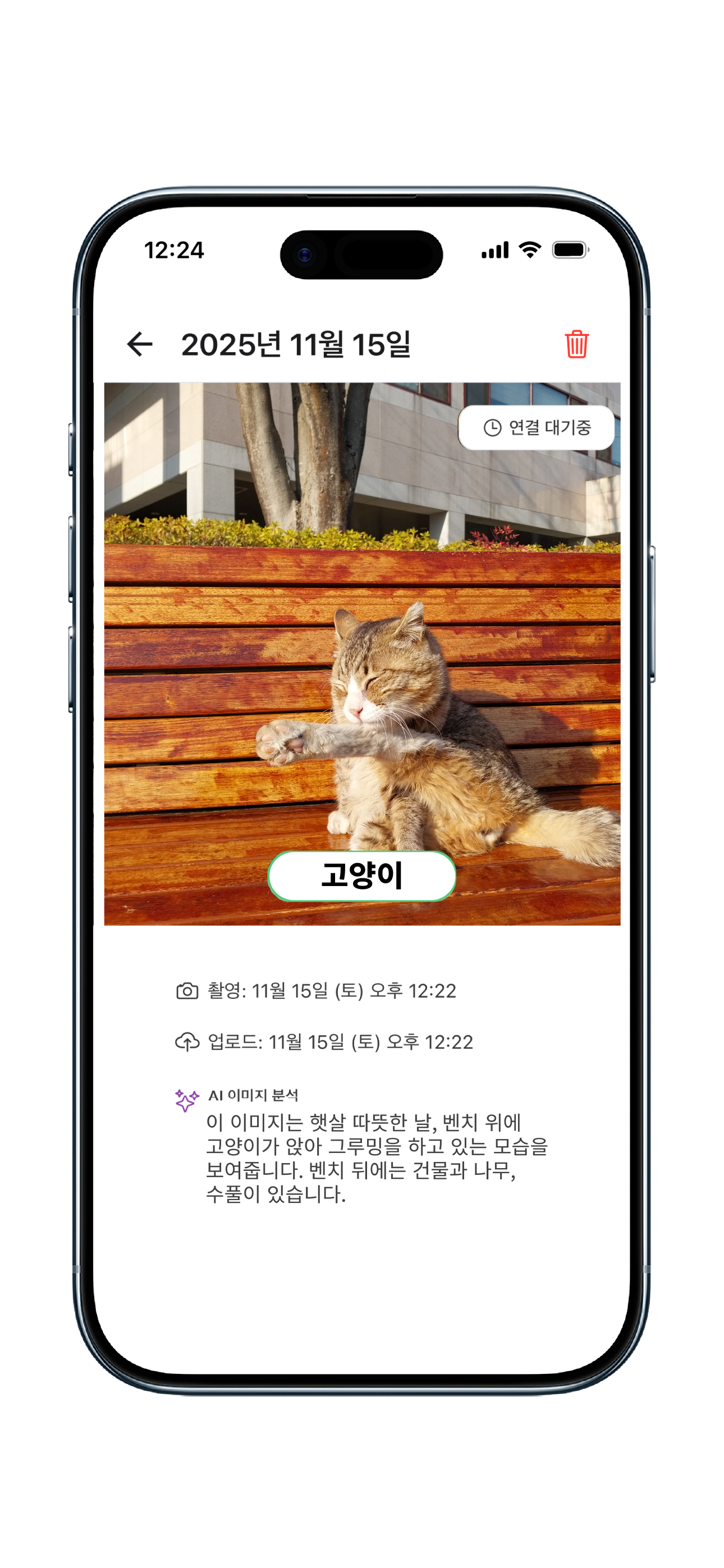 복잡한 고민 없이 일상 사진 업로드